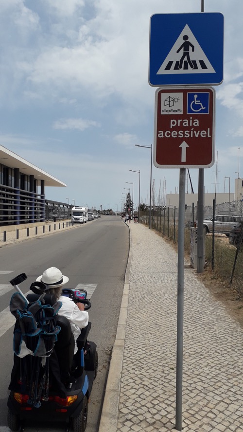 Blue Flag Accessibility Proposal 2024